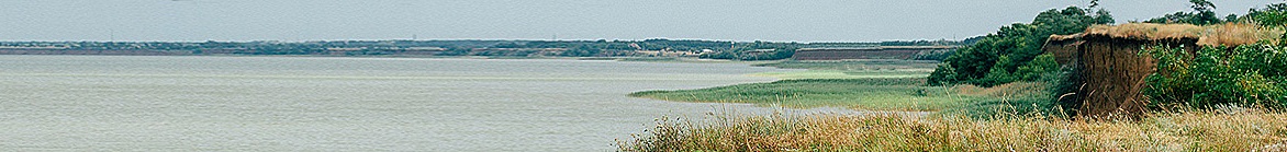 КАФЕ