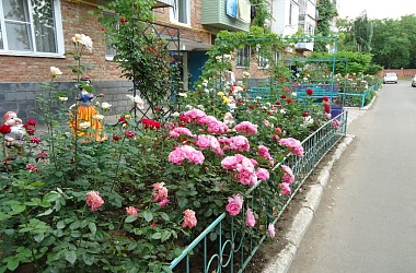 ТОС
